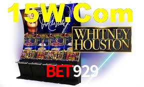 Roulette Table Bet929